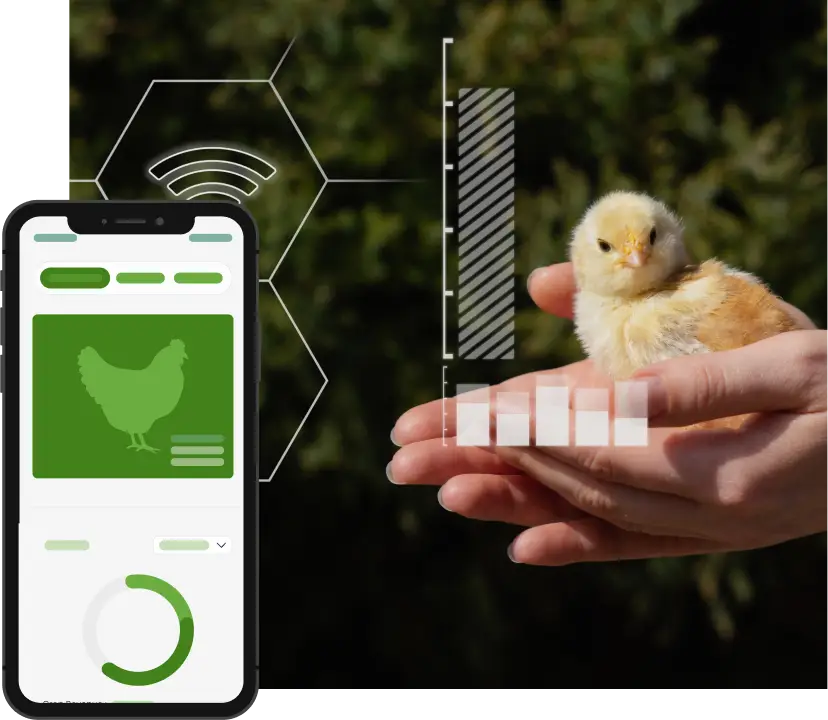 poultry-farm-management-software