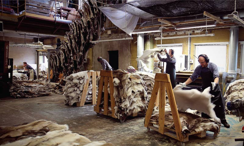 Tannery Management