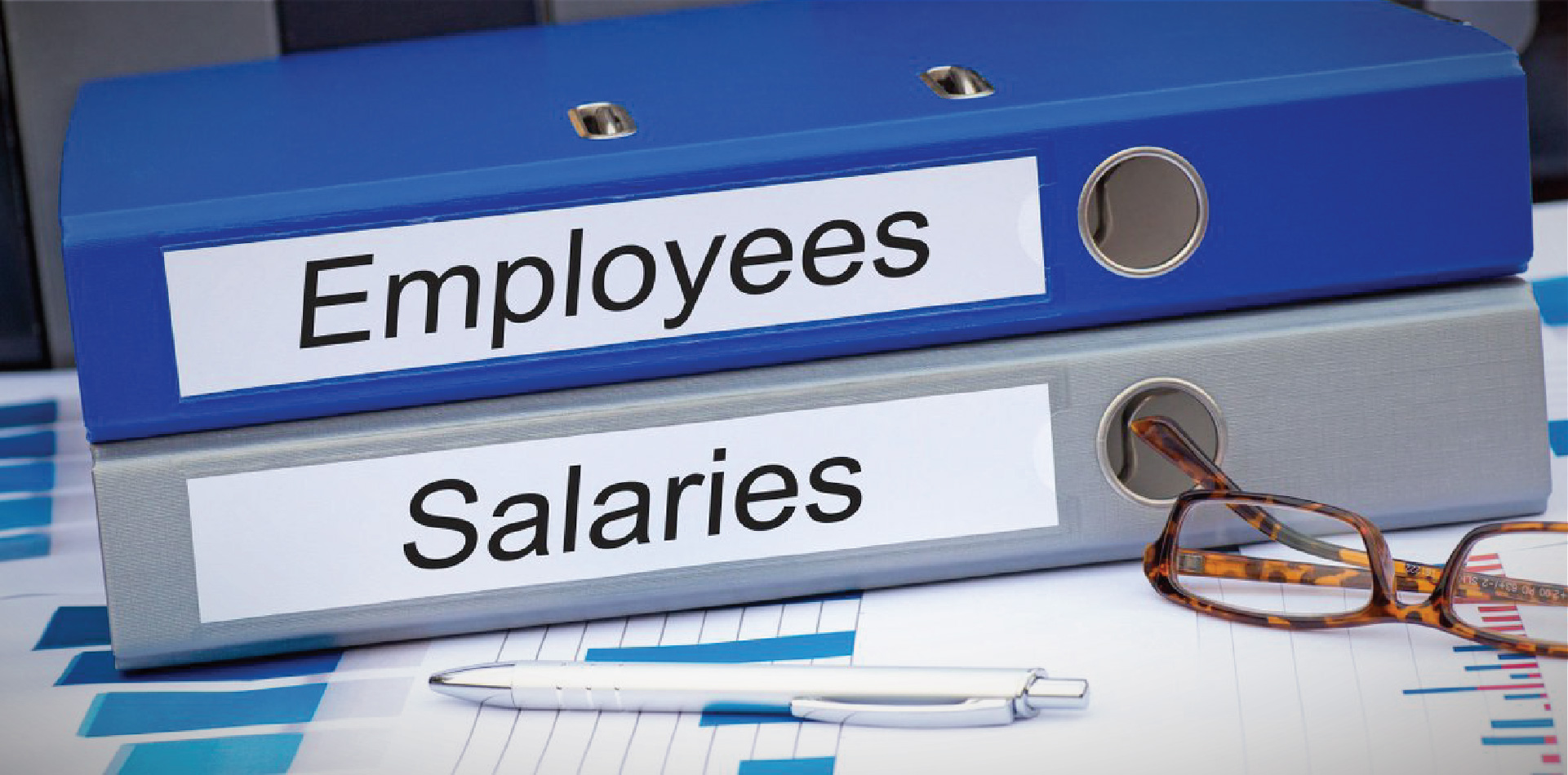 Online hr payroll software