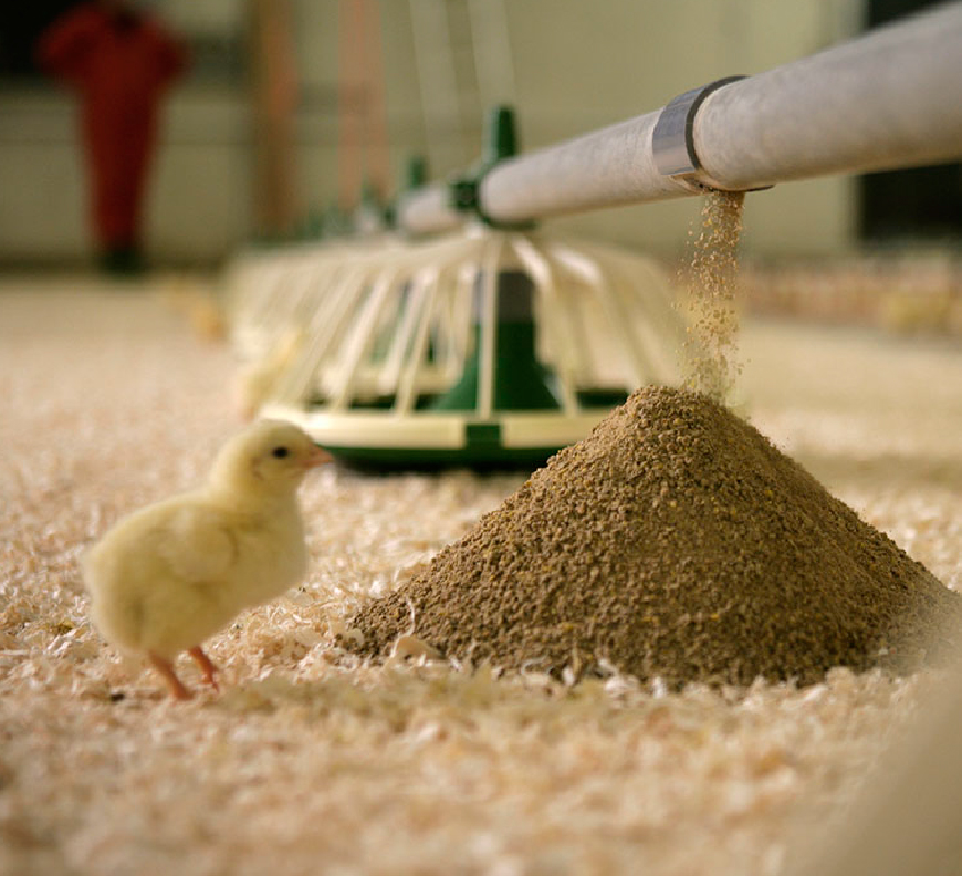 Livestock Management System